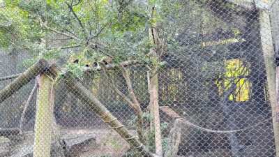 Dr Wallace and Mr Darcy have their own unique ways of accomplishing the same goal. One is cautious while the other is more adventurous.