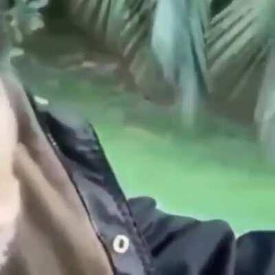 Reject thottery return to monke