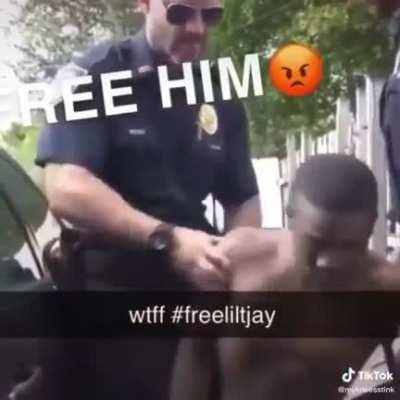 tbh idek what to say…….. Police fruitality?