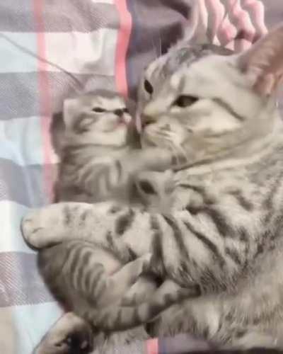 He doesn't know what to do with the beans :'D