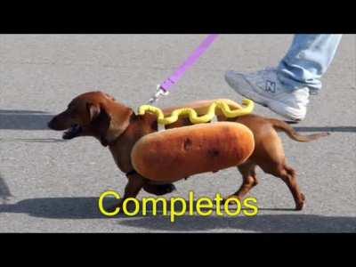 Completos para ti 🌭