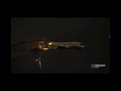 Baby gru causes a plane to crash