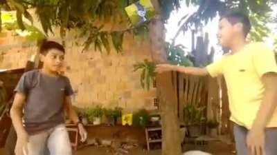 O tigre é o maior felino, e na caça ele é implacável!