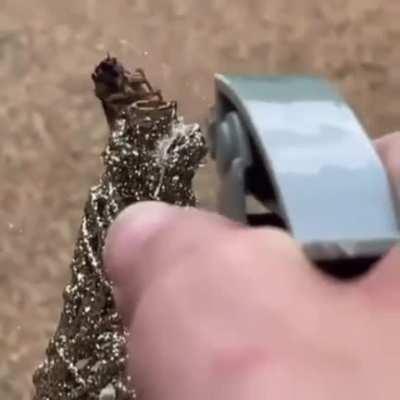 Greek soldier commiting a war crime against a turkish civilian