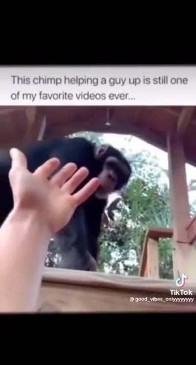 are they like us, or are we like them?