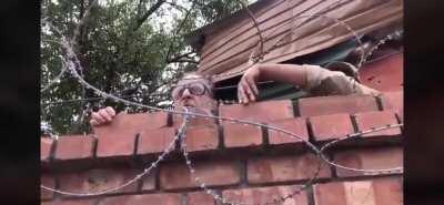 Saifuddin Soz, A Regime Collaborator In IOK, Now Being Unceremoniously Dragged Into His Own House By Indian Soldiers To Keep Him From Speaking To The Media