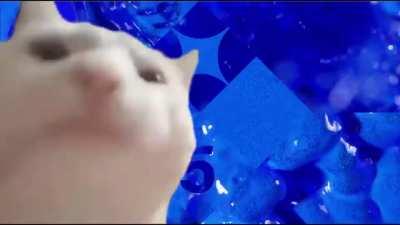 Everyone's reaction to the Blue remix