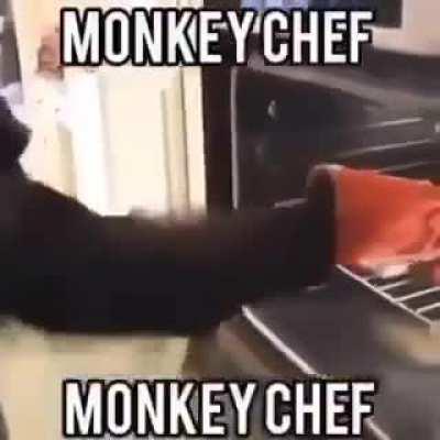 monkey chef monkey chef 🐵🧑‍🍳