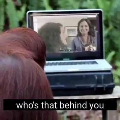 Monky roasts stupied hooman