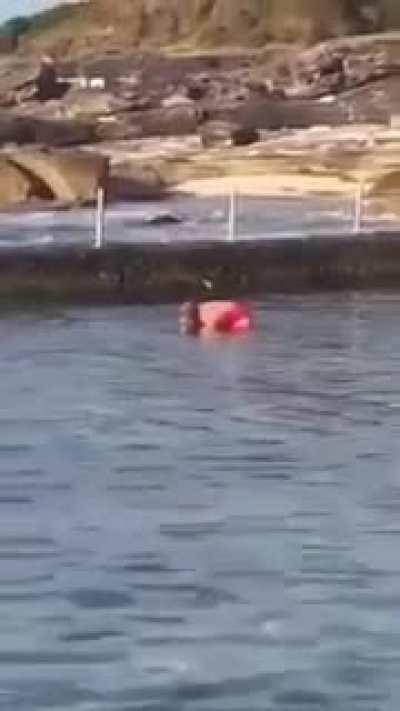 Australian woman picks up shark and throws it out of a pool