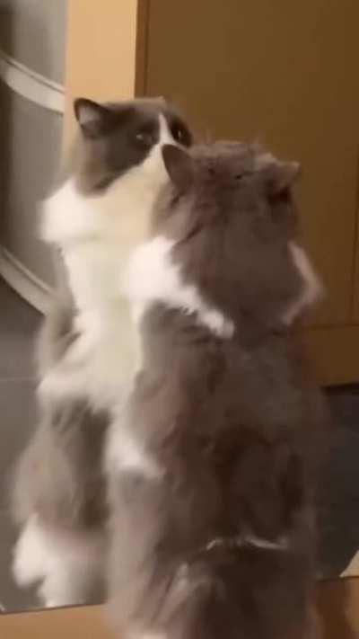 this mirror can't fool me i'll hold it