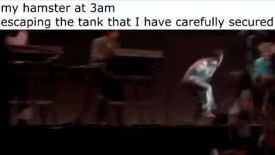 I'm just an animal lookin for a home