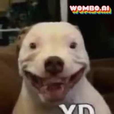 Ya no sé de que más hacer meme :(