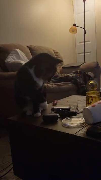 Her alignment is Chaotic Neutral