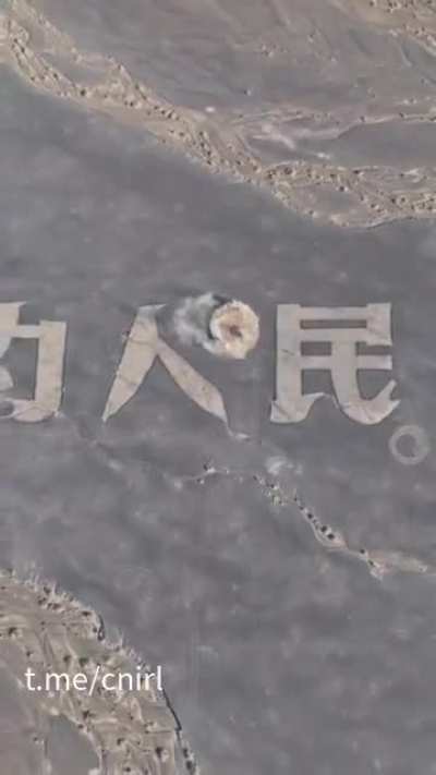 才罚款12000元,也太少了