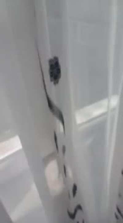 Ne olursa olsun amdan VAZGEÇMEYİN