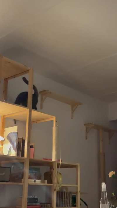 Mysterious creatures are hunting this home tonight