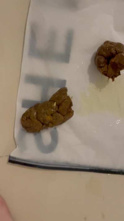 Im a cute girl, u know it 