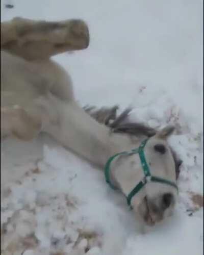 Big boye is acting up again.