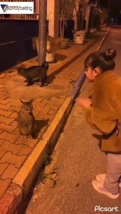 Beginning of a new friendship...