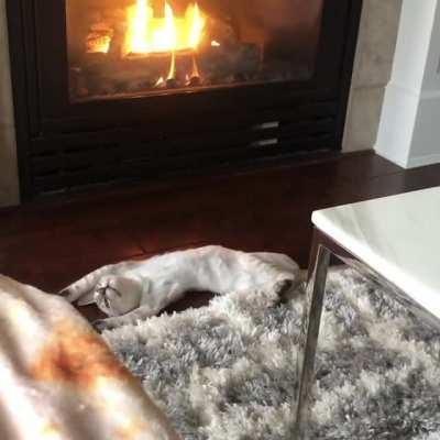 Kitten’s 1st Fireplace Season