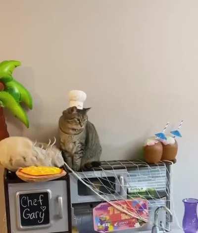 You wake up and your cat is making you cookies