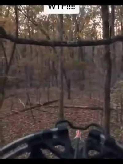 Hunters in the woods terrified by weird noise & scream.