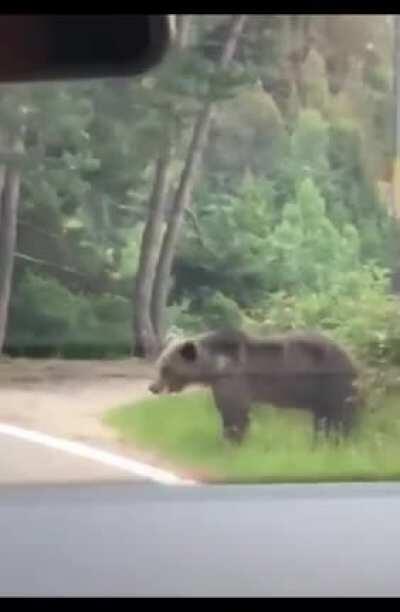 An Idiot Nearly Dying.