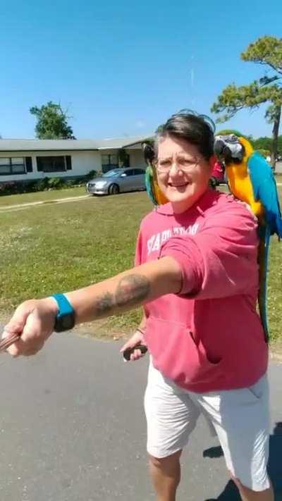 Got both girls out for some fresh air and skateboarding today. Enjoy!