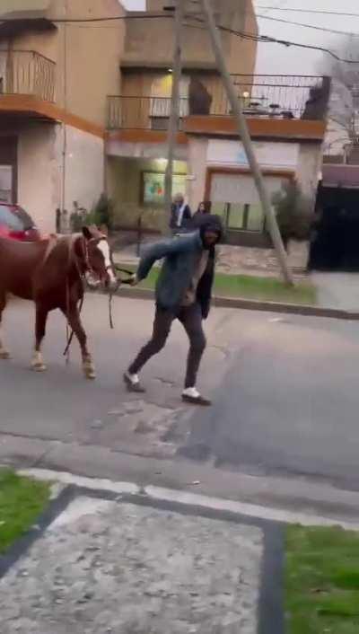 Hurlingham: Hdmp maltrataba a un caballo y una chica lo enfrentó