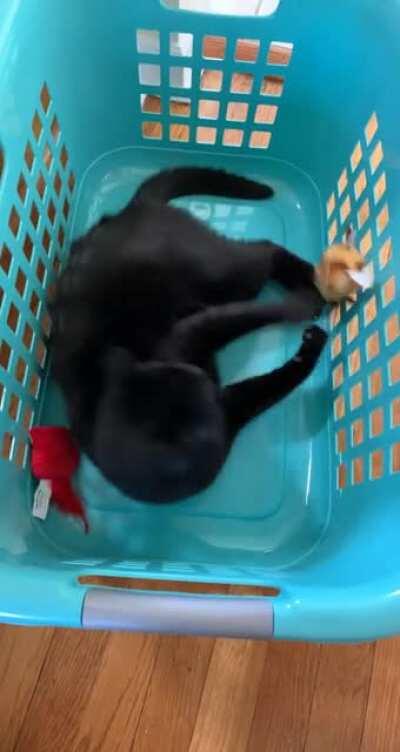 Just look at the windup on those bites!