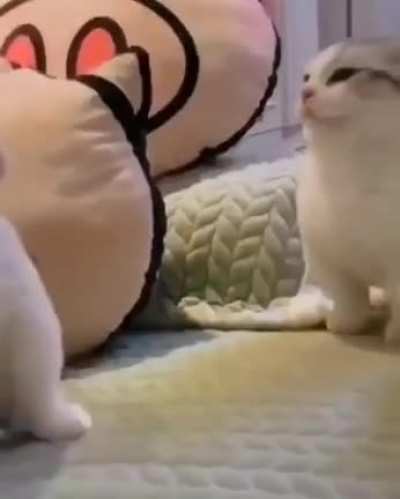 Not mine but figured it would fit in here