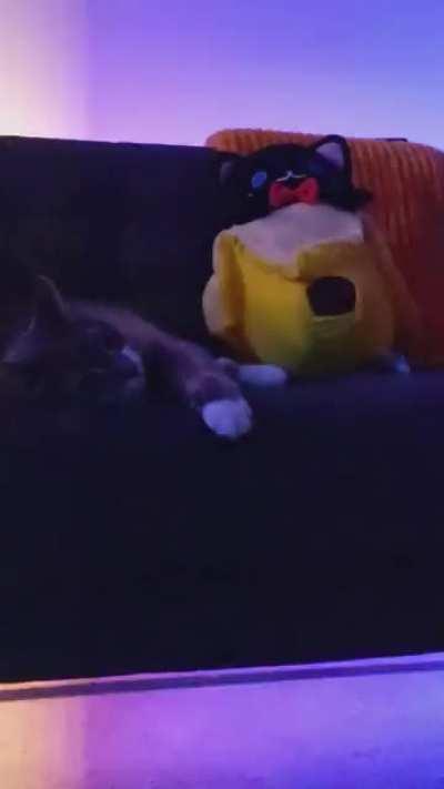 Happy New Year everyone! 💎🤲🚀