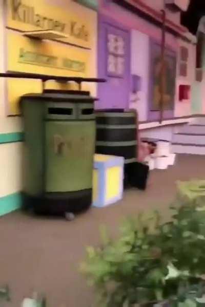 Cat Dimension Headquarters