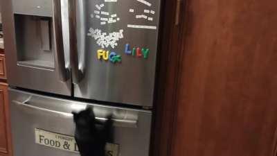 This is why we can't have magnets on the fridge.