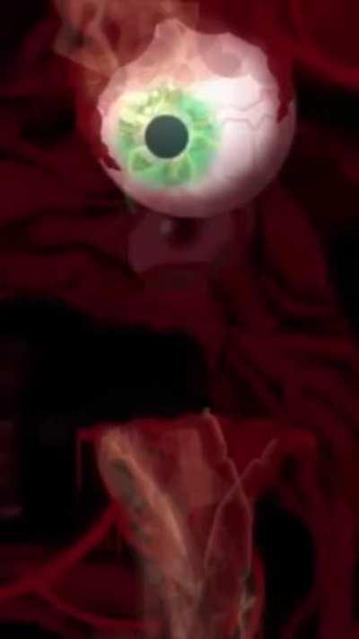 void_memes - Video #4118