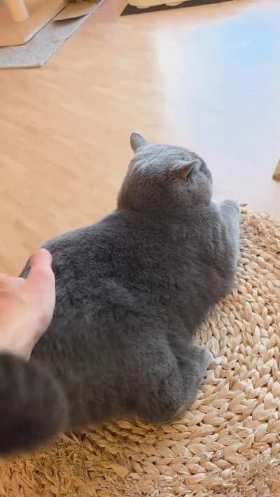 He is a quiet enjoyer of bongos