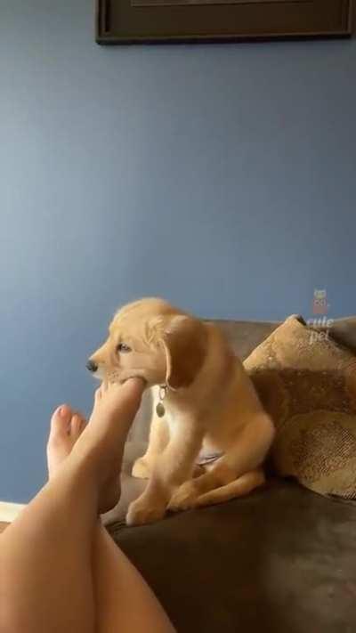 A compilation I thought would be appreciated here.