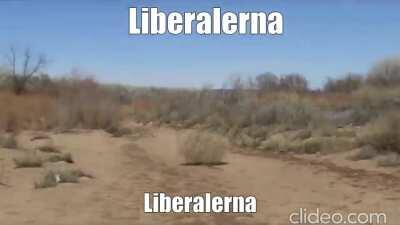 POV du har åsikter om politik (cringe) ((jag vill klämma på ulf kristerssons vader😫😫))