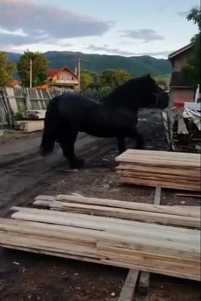 he just got a new haircut