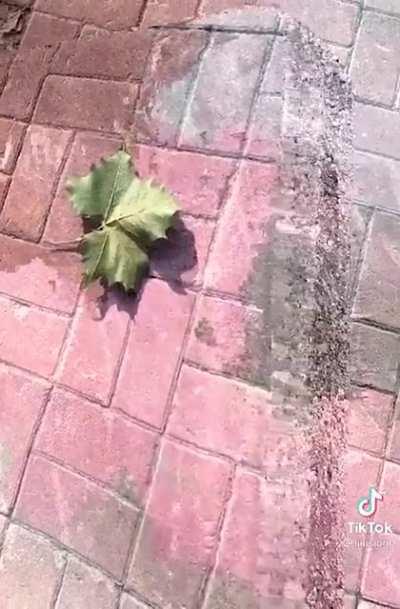 Another one because why not