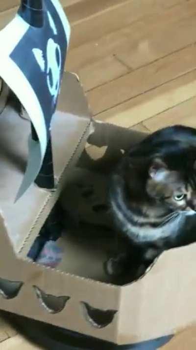 флибустьер пылесосит квартиру