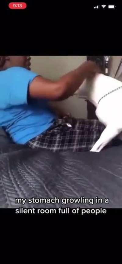 Гриша! Стоп!