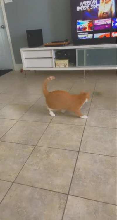 Alfred doesn't get the single brain cell that often😅