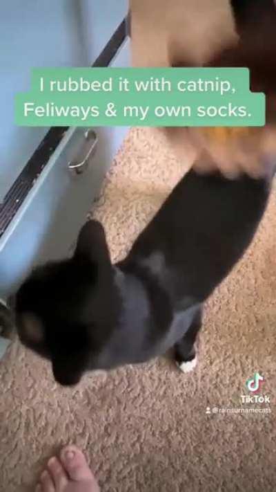 I already posted a longer version of this, but then I found what is basically the theme song for this sub.