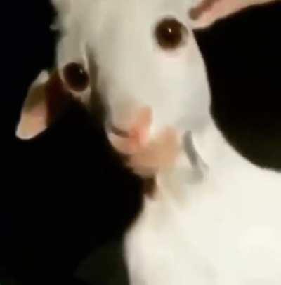 why he look like that 💀💀💀