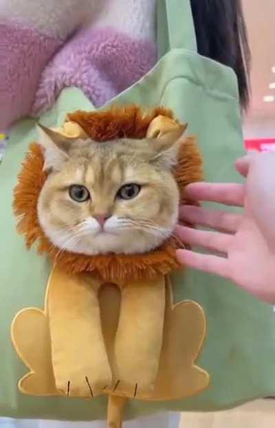 Shut up and take my money