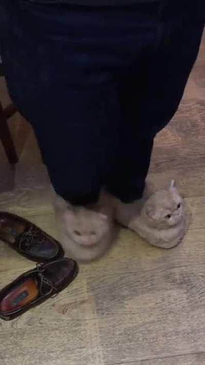 Someone doesn’t like my slippers 🙁