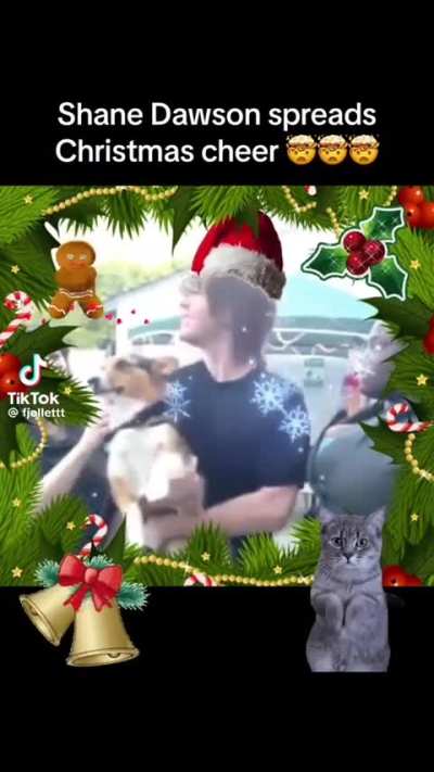 MARRY CHRISTIMAS 🎄🎄🎄🎄