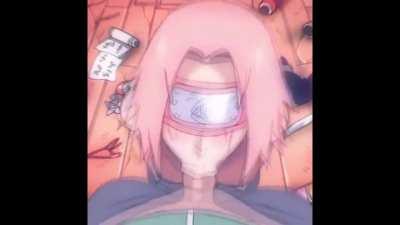 Sakura succ (18dart3/D-ART)